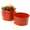 8 inch Red Galvanized Round Tub