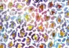 20W x 30L, Everyday Styled Tissue, Fancy Leopard