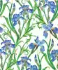 24W x 417 ft, Floral Wrapping Paper, Irises