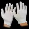 Lightweight Cotton Gloves, White, Men's