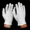 Cotton Slip On Gloves, Fashion Points, White, Large