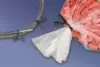 4" Vinyl Twist Tie, White