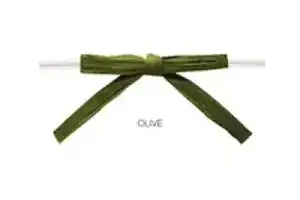 2-1/2W x 2-3/4L Bow, Pre-Tied Raffia Bows With Wire Twist, Olive