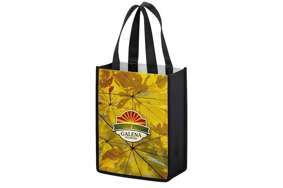 Custom Full Color NonWoven PET Bags