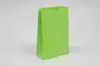 5W x 3-1/8D x 9-5/8H, Stand Up Colored Paper Bags, Lime Green