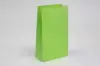 6-1/4W x 3-4/5D x 12-1/2H, Stand Up Colored Paper Bags, Lime Green