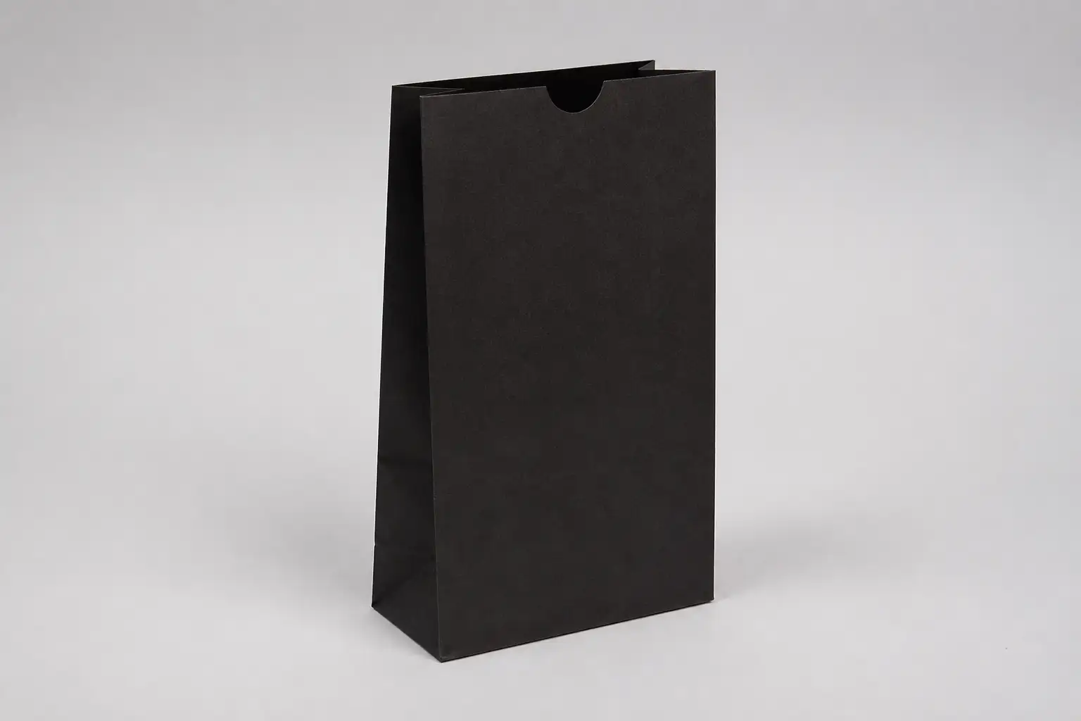6-1/4W x 3-4/5D x 12-1/2H, Stand Up Colored Paper Bags, Black