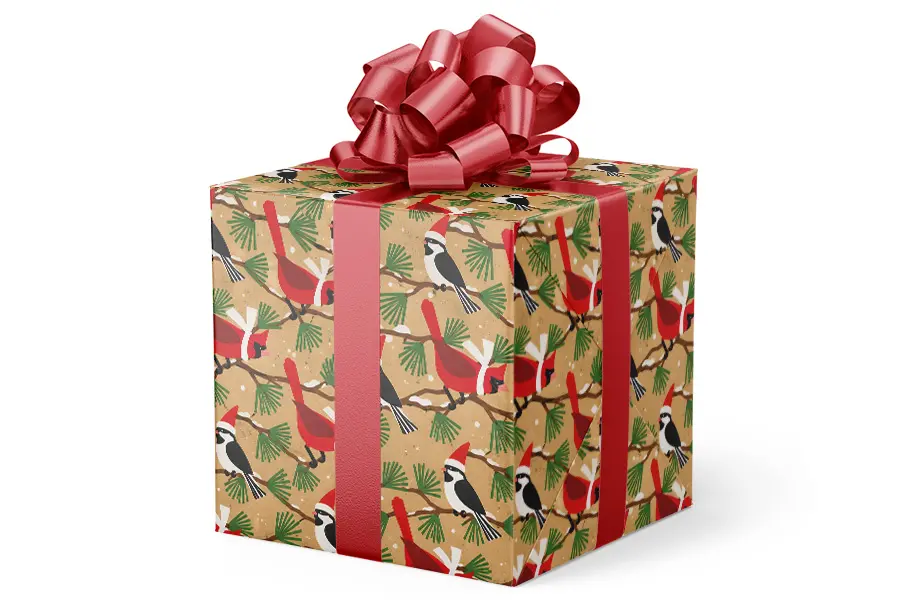 Bird & Nature Themed Gift Wrap