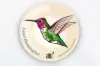Anna's Hummingbird Stickers