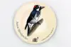 Acorn Woodpecker Stickers