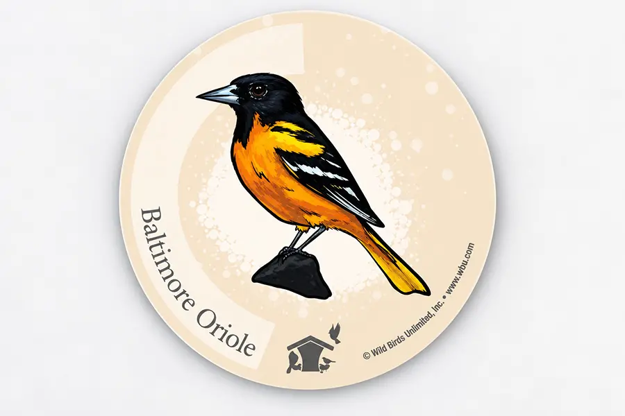 Baltimore Oriole Stickers