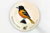 Baltimore Oriole Stickers