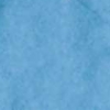 Cornflower