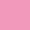 Rose Pink Ribbon