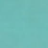 Robin's Egg Matte