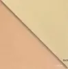 Rose Gold Champagne