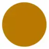 Gloss Burnt Orange