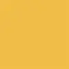 Fluorescent Yellow