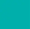 Caribbean Teal