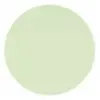 Pastel Green
