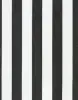 Jet Lines