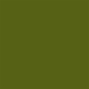 Spring Moss