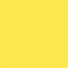 Matte Pastel Yellow