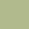 Celery Matte