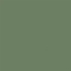 Olive Matte Color on Kraft