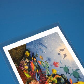 Flat Open End Cello Bags