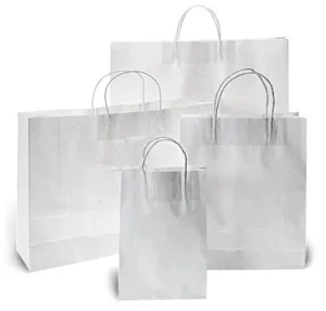 White Kraft Paper Bags with Twisted Paper Handles